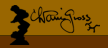 Renee and Chaim Gross Foundtion